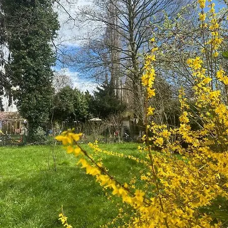 2 Schlafenzimmer 5 Betten Apartamento Duisburg