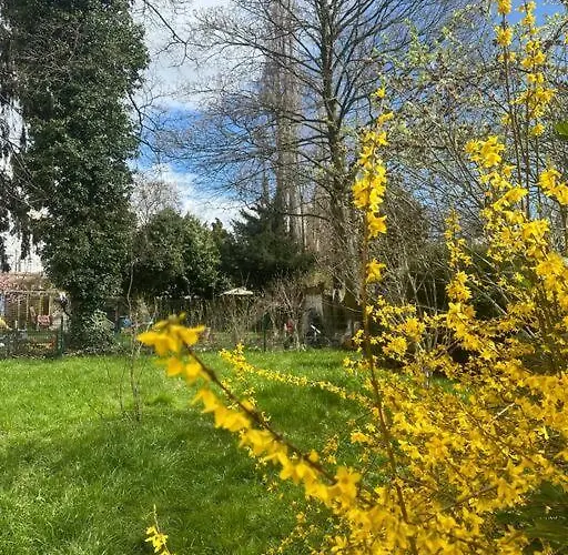 2 Schlafenzimmer 5 Betten Appartamento Duisburgo